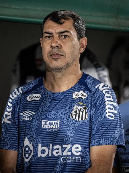 Fábio Carille, técnico do Santos