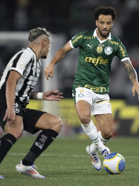 Botafogo x Palmeiras será um dos jogos transmitidos pela ESPN nesta semana pela Libertadores