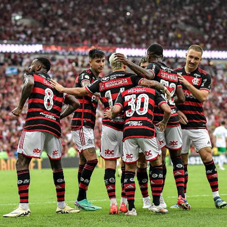 Flamengo comemora gol no Campeonato Brasileiro - Thiago Ribeiro/AGIF