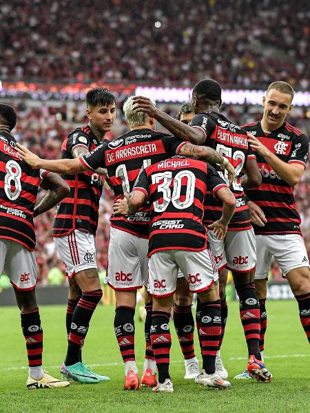 Flamengo comemora gol no Campeonato Brasileiro