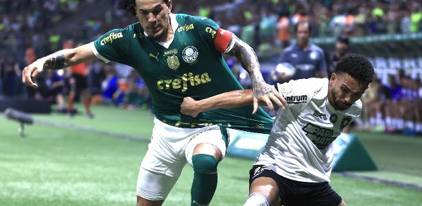Diferença entre Botafogo e Palmeiras: evidente supremacia dentro de campo