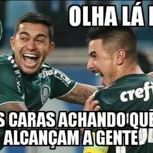 zoeira com palmeiras