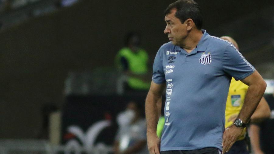 Para Carille, jogadores do Santos já sabem o peso da partida contra o Sport - Fernando Moreno/AGIF