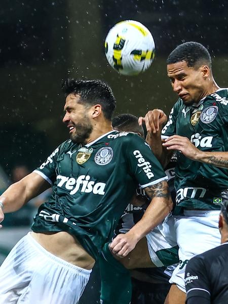 Palmeiras x Botafogo – onde assistir ao vivo, horário do jogo e escalações
