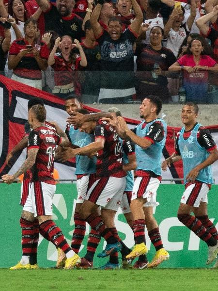 Jogadores do Flamengo comemoram gol de Matheus França contra o Cuiabá, pelo Brasileirão - Gil Gomes/AGIF