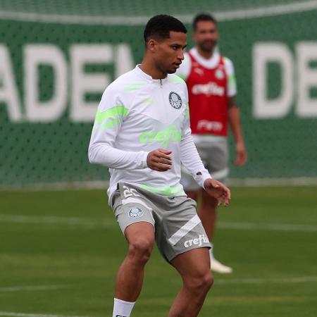 Murilo, zagueiro do Palmeiras, se recuperou de lesão no ombro