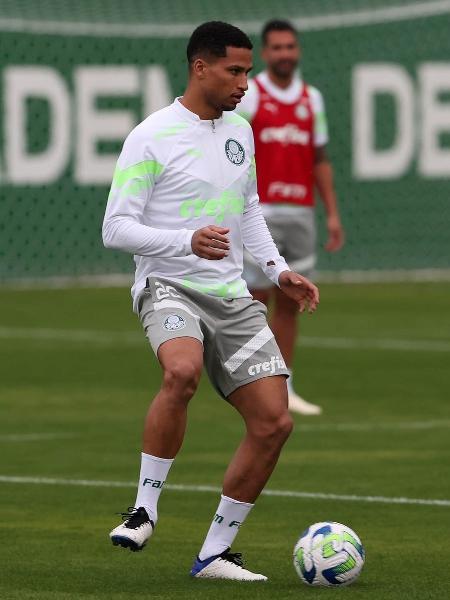 Murilo, zagueiro do Palmeiras, se recuperou de lesão no ombro - Reprodução/Twitter