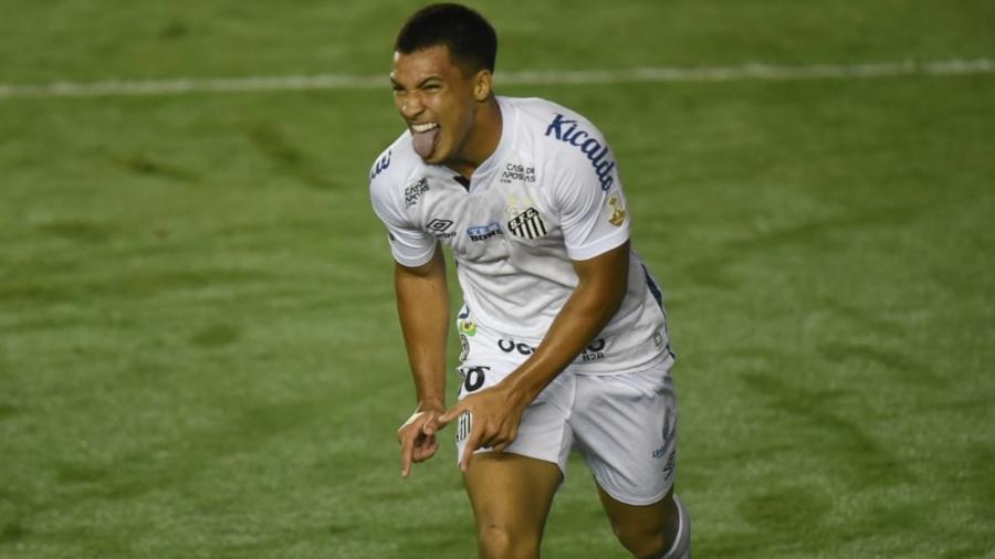 Marcos Leonardo, 17 anos, marcou o gol da vitória do Santos sobre o Defensa y Justicia-ARG na Libertadores - Ivan Storti/Santos FC