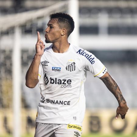 Marcos Leonardo, do Santos, comemora seu gol no jogo contra o Botafogo, pela 16ª rodada do Brasileirão