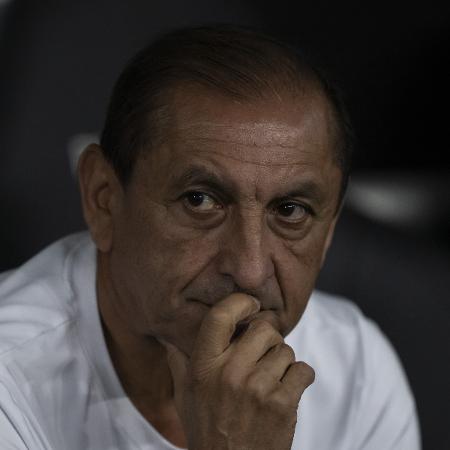 Ramon Díaz, técnico do Corinthians, no jogo contra o Botafogo, pelo Brasileirão