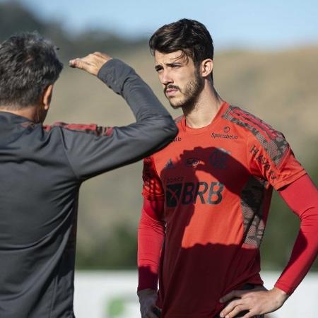 Renato Gaúcho dando instruções para Gustavo Henrique - Alexandre Vidal / Flamengo