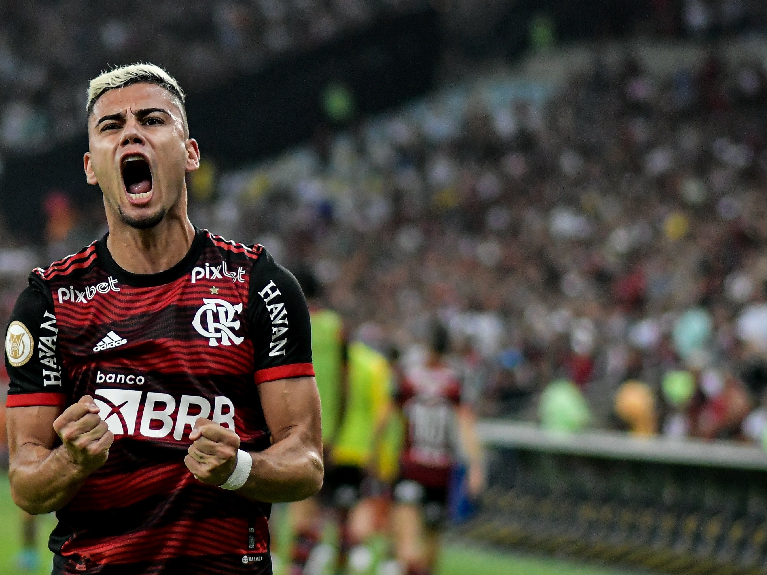 Fluminense marca no fim e vence Flamengo em clássico de muita confusão -  06/02/2022 - UOL Esporte