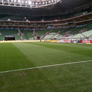 Gramado do Allianz Parque antes da final da Copa do Brasil contra o Santos - Diego Salgado/UOL