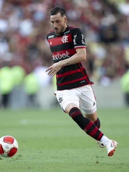 Viña durante jogo do Flamengo