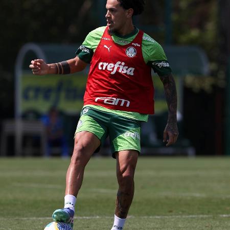 Gustavo Gómez se reapresentou ao Palmeiras nesta quinta-feira (12) e participou normalmente do treino