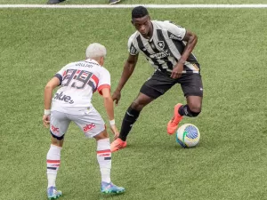 Botafogo faz sua maior festa no Nílton Santos contra São Paulo da dignidade