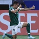 Paulinho desencanta, Palmeiras passeia e é o único perfeito na Libertadores