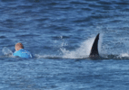 Ataque de tubarão há 10 anos ajudou lenda do surfe a mudar e ganhar milhões - Divulgação/WSL