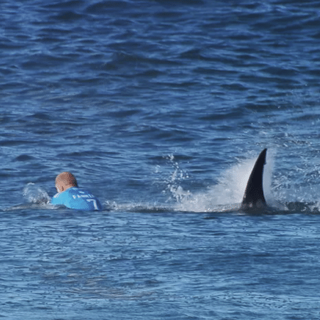 Mick Fanning escapa de tubarão durante etapa da WSL em J-Bay, na África do Sul Mick Fanning escapa de tubarão durante etapa da WSL em J-Bay, na África do Sul