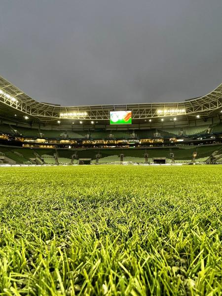 Allianz Parque pode ser palco do título brasileiro do Palmeiras - Reprodução/Twitter/Palmeiras