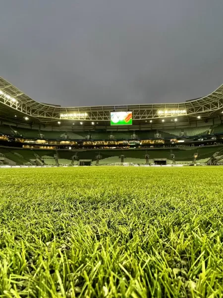 Escolinhas oficiais do Palmeiras levam alunos para jogo e visita ao Allianz  Parque – Palmeiras