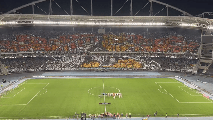 Parte 2 do mosaico da torcida do Botafogo mostrou Bira, cachorro que é o mascote do clube