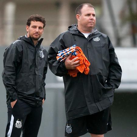 Elano e Marcelo Fernandes no Santos - Ivan Storti/ Santos FC