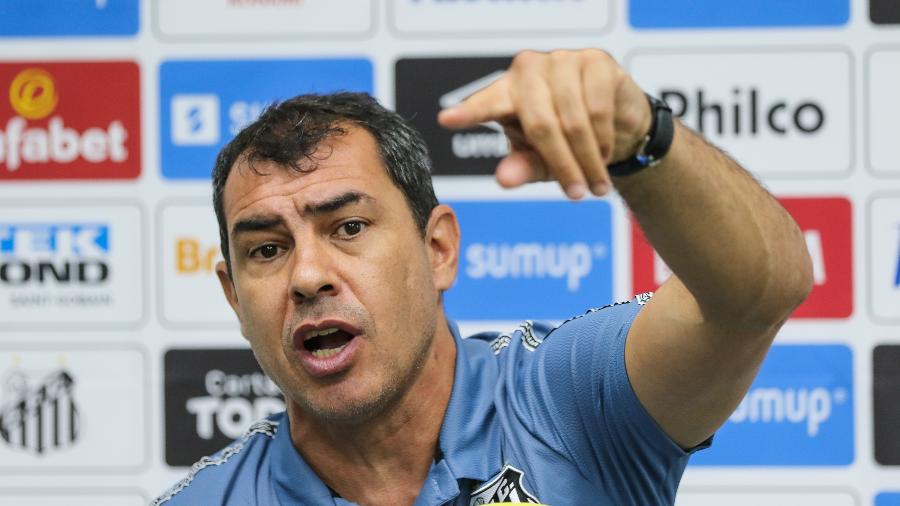 Antes de treinador chegar, equipe fez 10 jogos na Vila pelo Brasileirão e tinha aproveitamento de 53,3% - Luiz Erbes/Luiz Erbes/AGIF