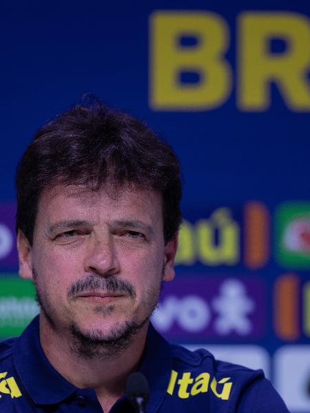 Fernando Diniz foi apresentado como técnico interino da seleção brasileira - Eduardo Anizelli