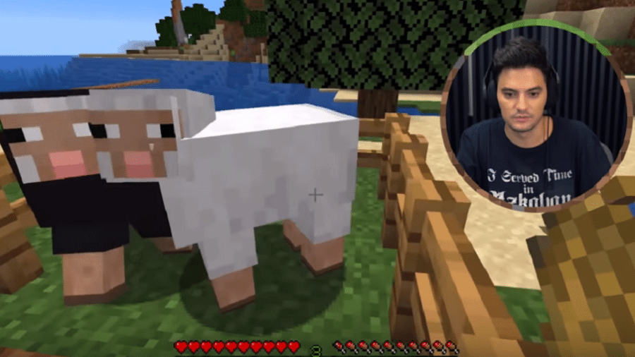 Felipe Neto apelidou ovelhas em jogo da internet de Loco e Túlio - Reprodução