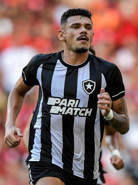 Tiquinho Soares celebra gol do Botafogo sobre o Flamengo em jogo no Maracanã - Thiago Ribeiro/AGIF