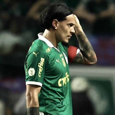 O Palmeiras é o vice-líder do Brasileirão e tem três pontos a menos que o Botafogo