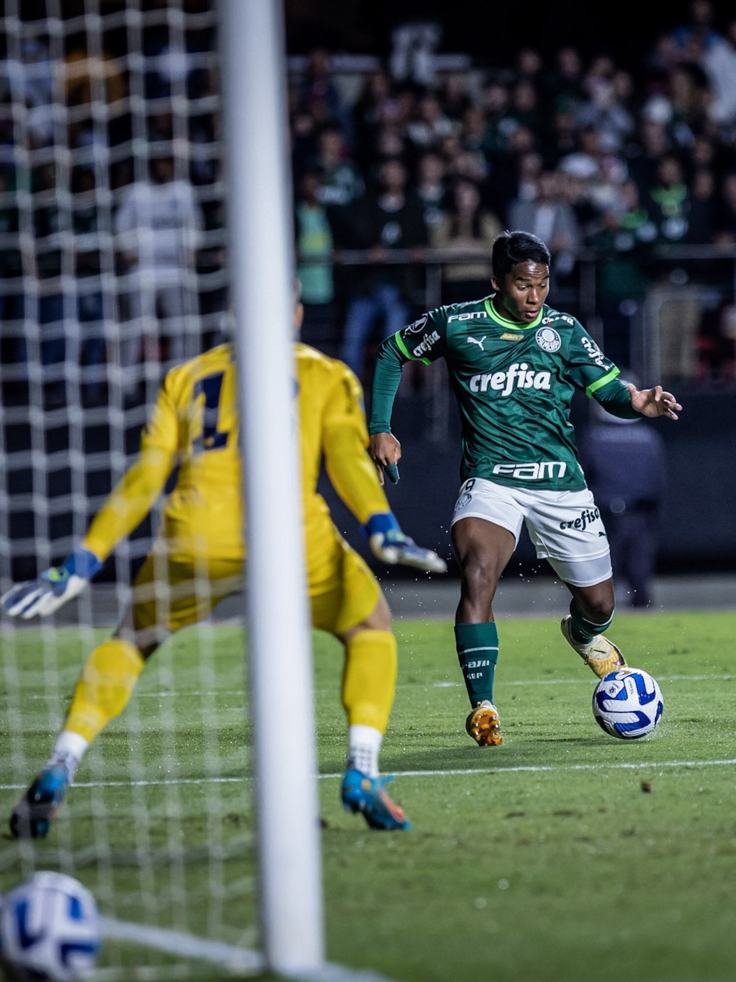 PALMEIRAS X CERRO PORTEÑO TRANSMISSÃO AO VIVO DIRETO DO ALLIANZ PARQUE -  COPA LIBERTADORES 