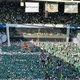 Torcida do Palmeiras provoca Fla com mosaico de Deyverson na Libertadores