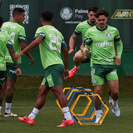 Maurício e Piquerez iniciaram a transição física no Palmeiras - Cesar Greco/Palmeiras