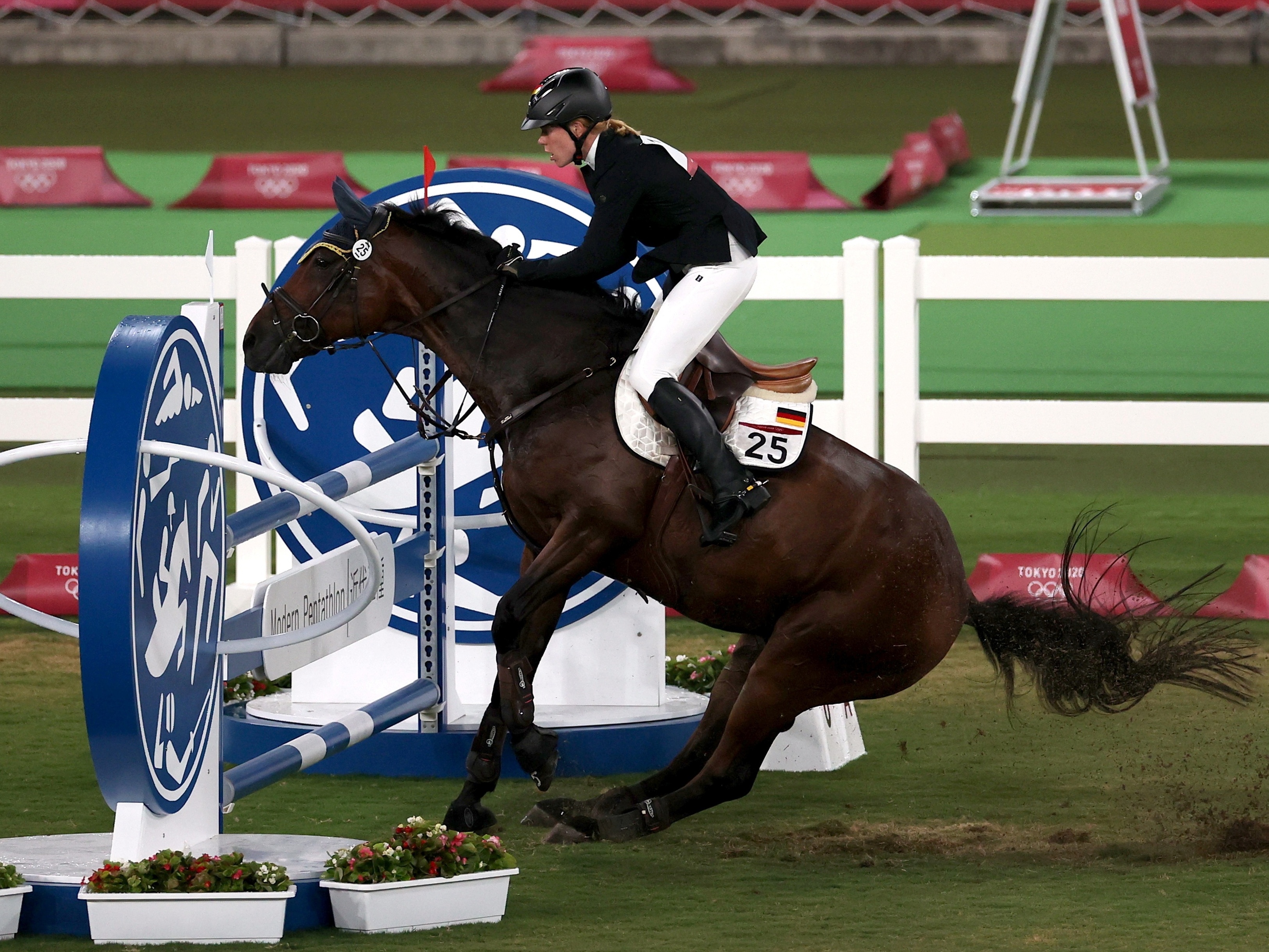 Cavalos nos Jogos Olímpicos, uma dança entre a liberdade e a saúde