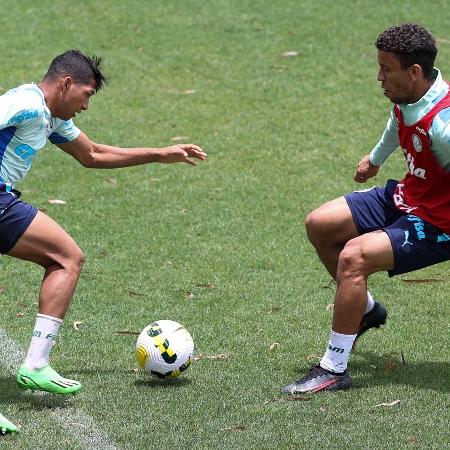 Rony e Marcos Rocha em treino do Palmeiras nesta segunda-feira (31). - Cesar Greco/Palmeiras