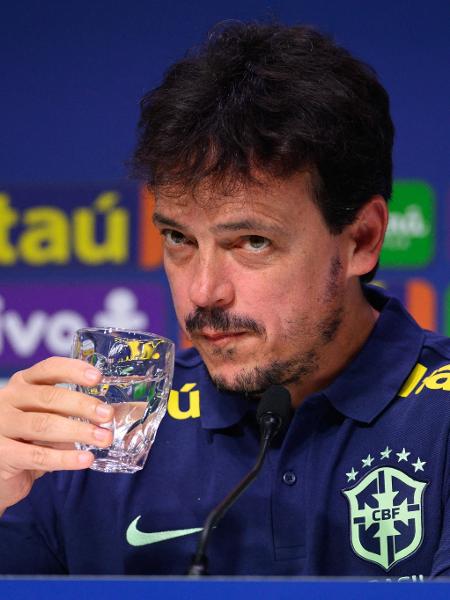 Fernando Diniz foi apresentado como técnico interino da seleção brasileira - MAURO PIMENTEL/AFP