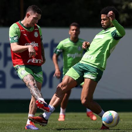 Aníbal e Murilo disputam a bola durante treino do Palmeiras