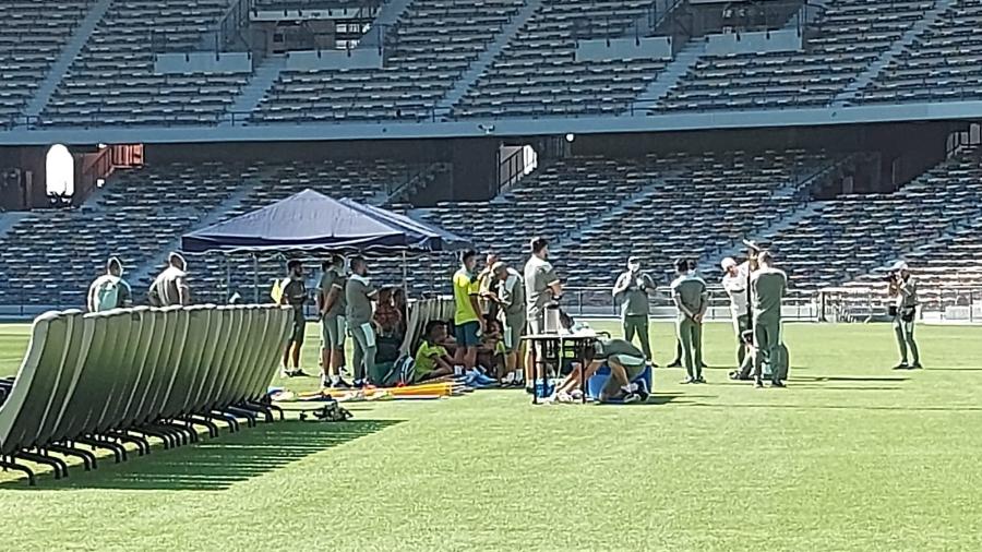 Abel Ferreira explica tática para jogadores do Palmeiras em lousa montada no gramado  - Diego Iwata Lima/ UOL 