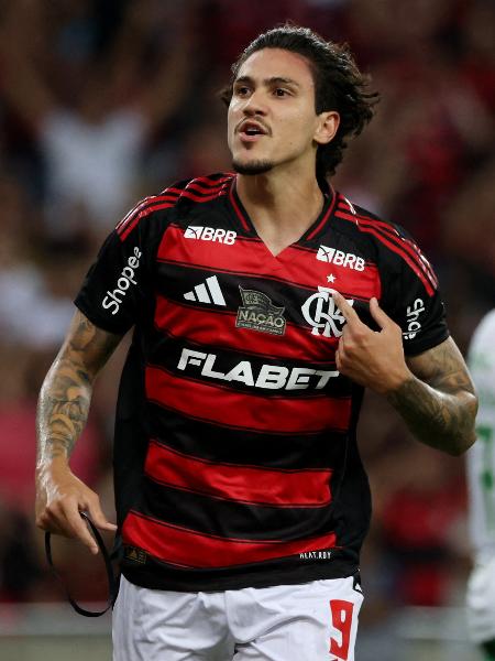 Pedro comemora gol do Flamengo sobre o Juventude em duelo do Brasileirão Pedro comemora gol do Flamengo sobre o Juventude em duelo do Brasileirão