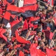 Mauro: Corinthians? Diferente foi torcida do Flamengo em momento de d&iacute;vida