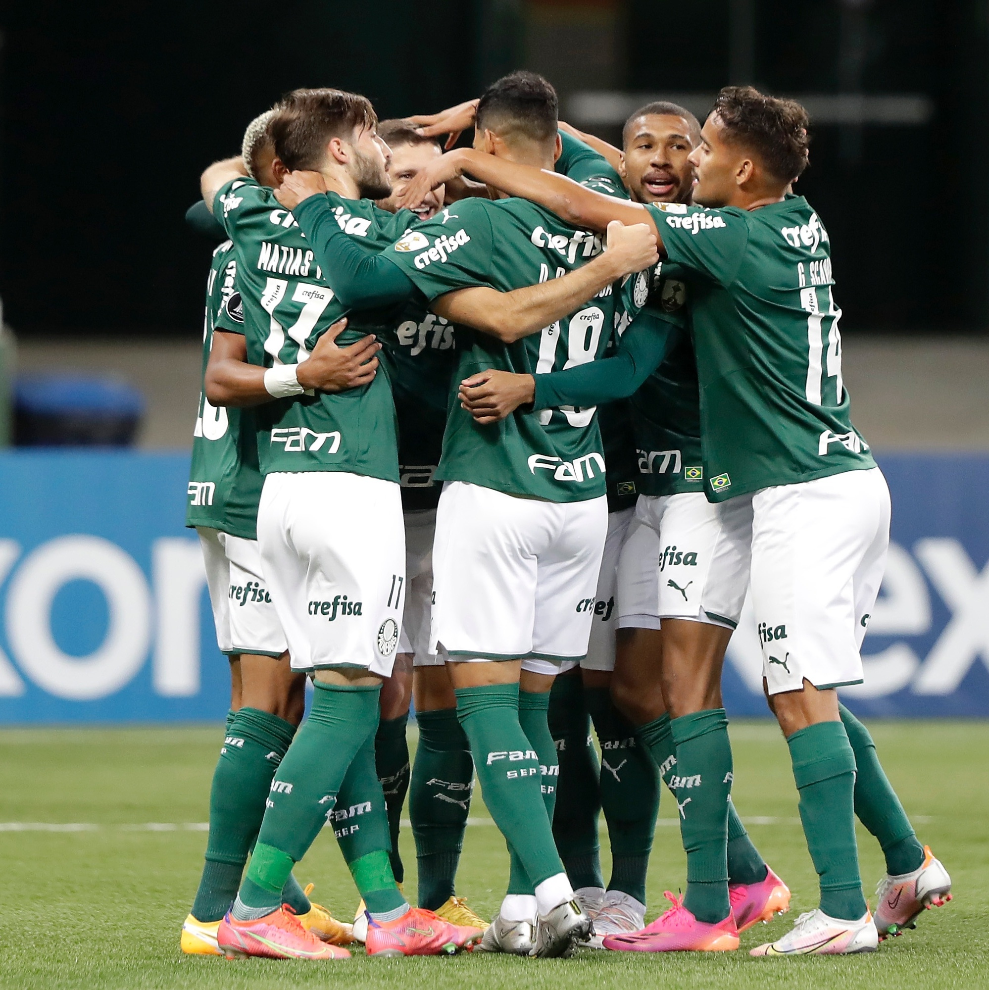 Jogadores do palmeiras que eu venceria numa luta só no soco : r/palmeiras