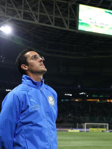 Paulo Victor Gomes, era o técnico do Palmeiras sub-20 - Fabio Menotti