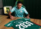 Palmeiras renova com promessa de 18 anos até o fim de 2031; veja detalhes