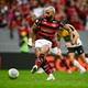 Criciúma x Flamengo: horário e onde assistir ao vivo ao jogo do Brasileirão