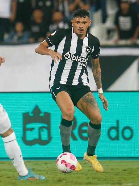 Tiquinho em ação contra o Palmeiras pelo Campeonato Brasileiro no Nilton Santos - Vitor Silva/Botafogo