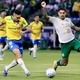 Palmeiras termina turno como l&iacute;der merecidamente, mesmo com &aacute;rbitro confuso