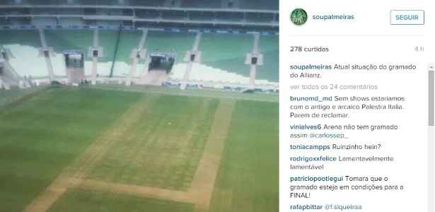Imagem do gramado do Allianz Parque está circulando nas redes sociais - Reprodução/Instagram