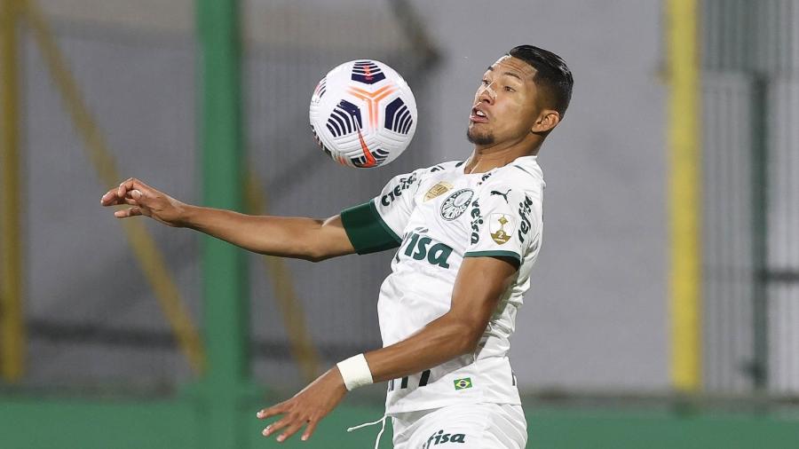 Rony, jogador do Palmeiras, durante partida contra o Defensa y Justicia, pela Libertadores - Cesar Greco